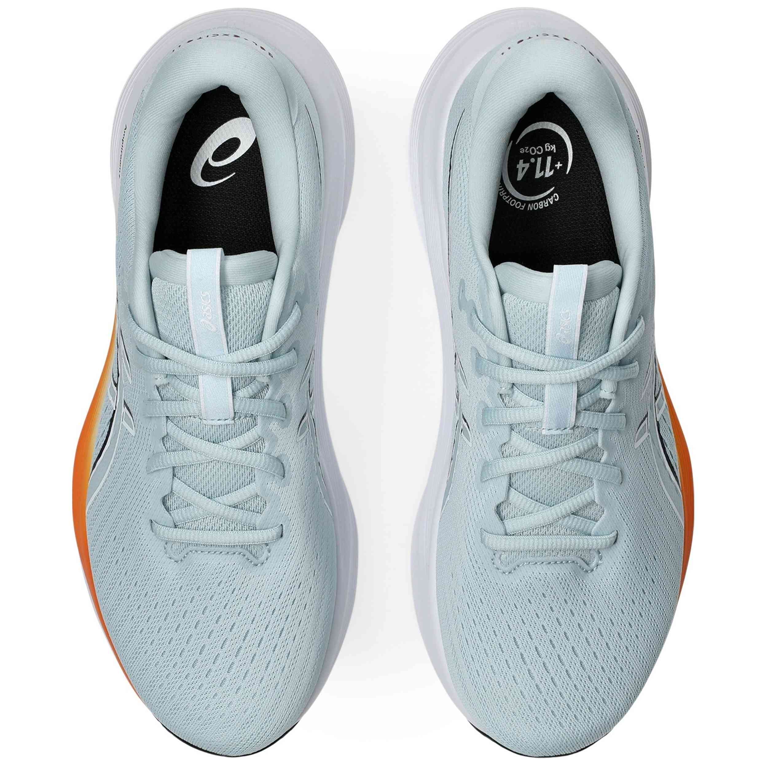 Imagen del producto con referencia 1011C080-022