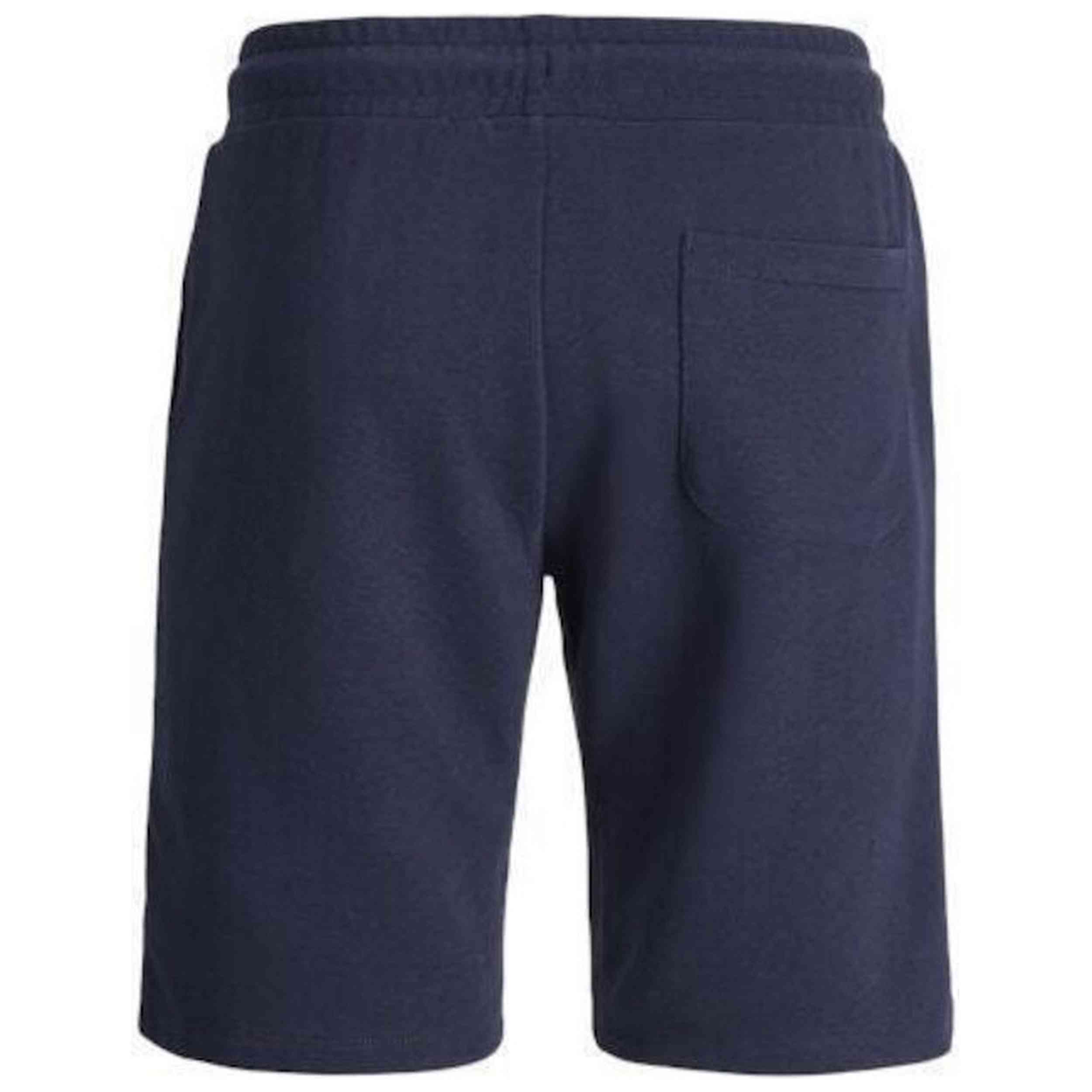 Imagen del producto con referencia 12292136-NAVY-BLAZER
