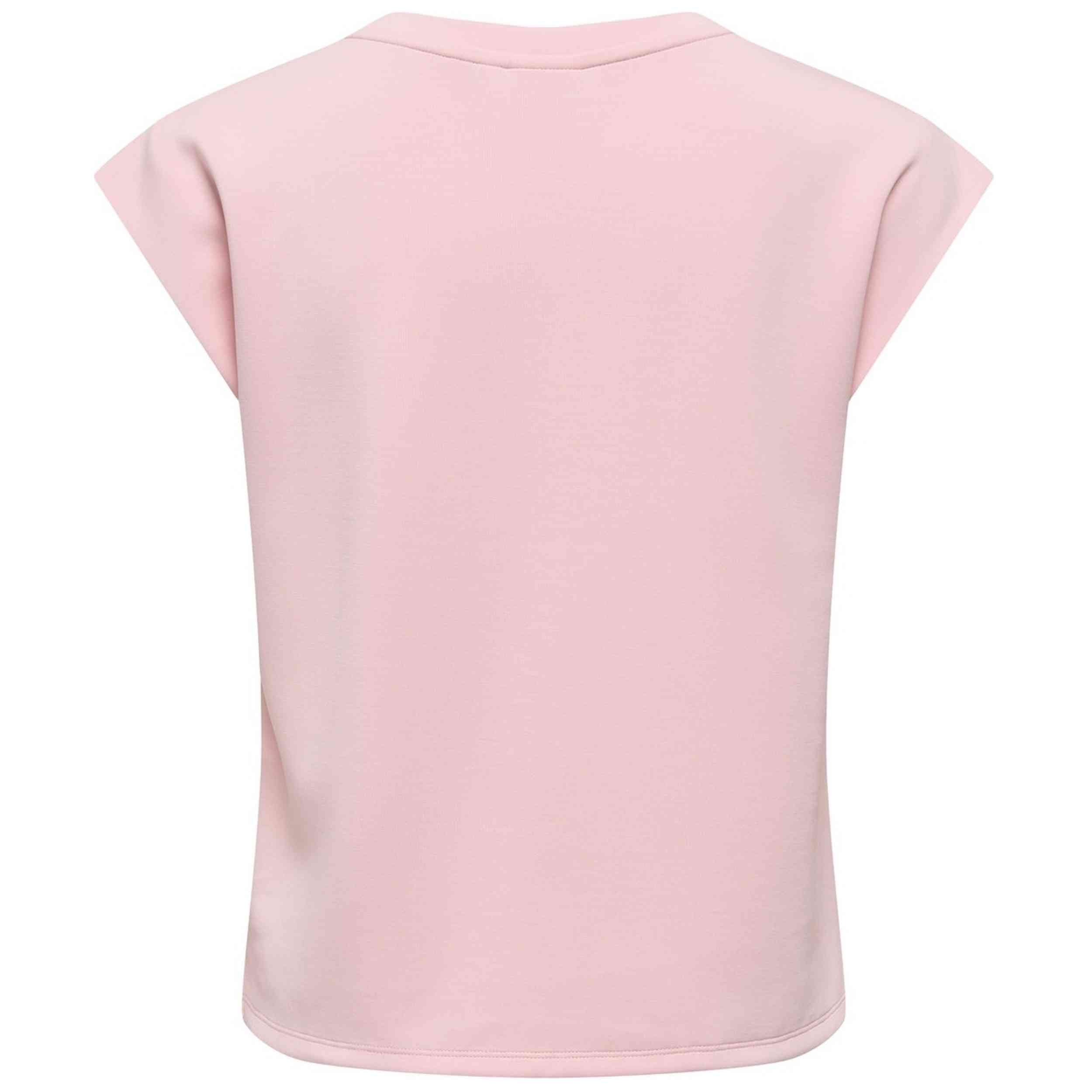 Imagen del producto con referencia 15376065-ROSA
