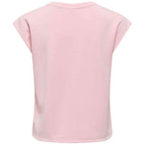 Imagen del producto con referencia 15376065-ROSA