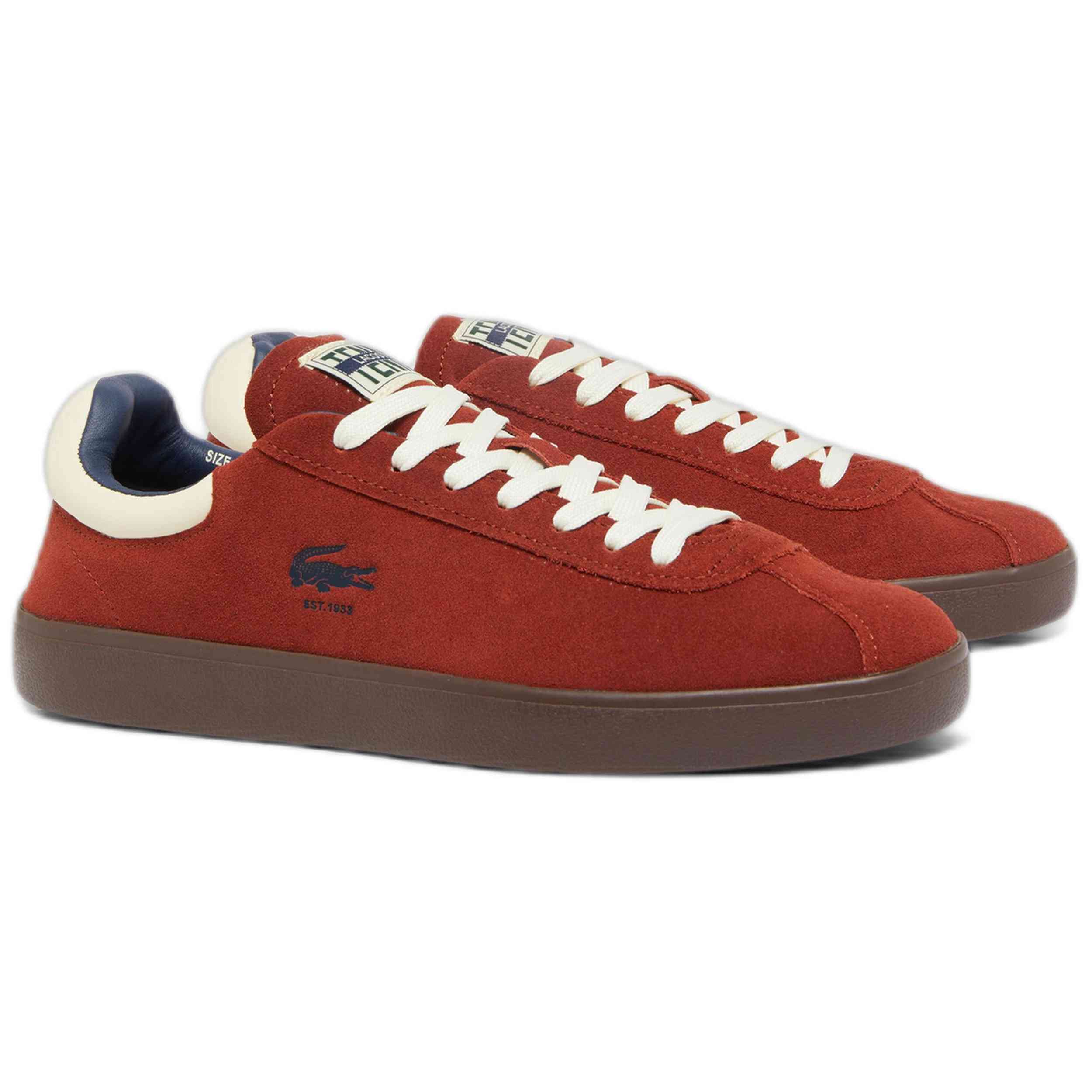 Imagen del producto con referencia 49SMA0058-AMD