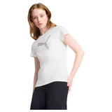 Imagen del producto con referencia 684995-02