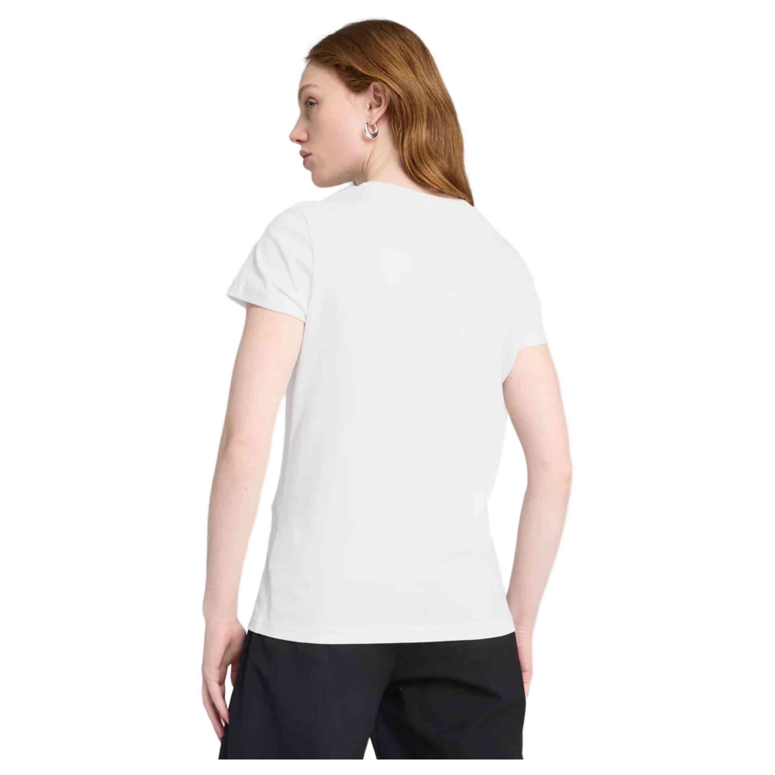 Imagen del producto con referencia 684995-02