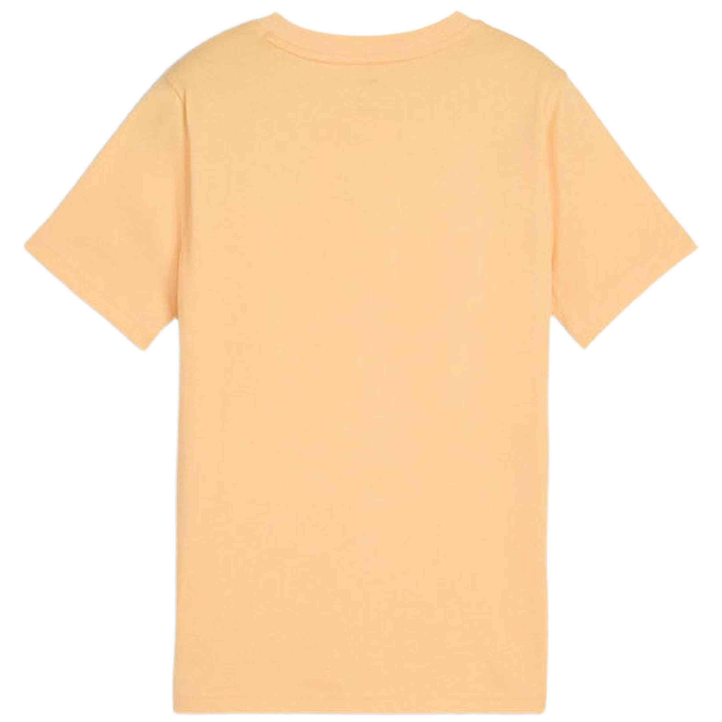 Imagen del producto con referencia 685795-41