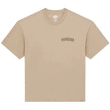 Imagen del producto con referencia DK0A87QT0DS1