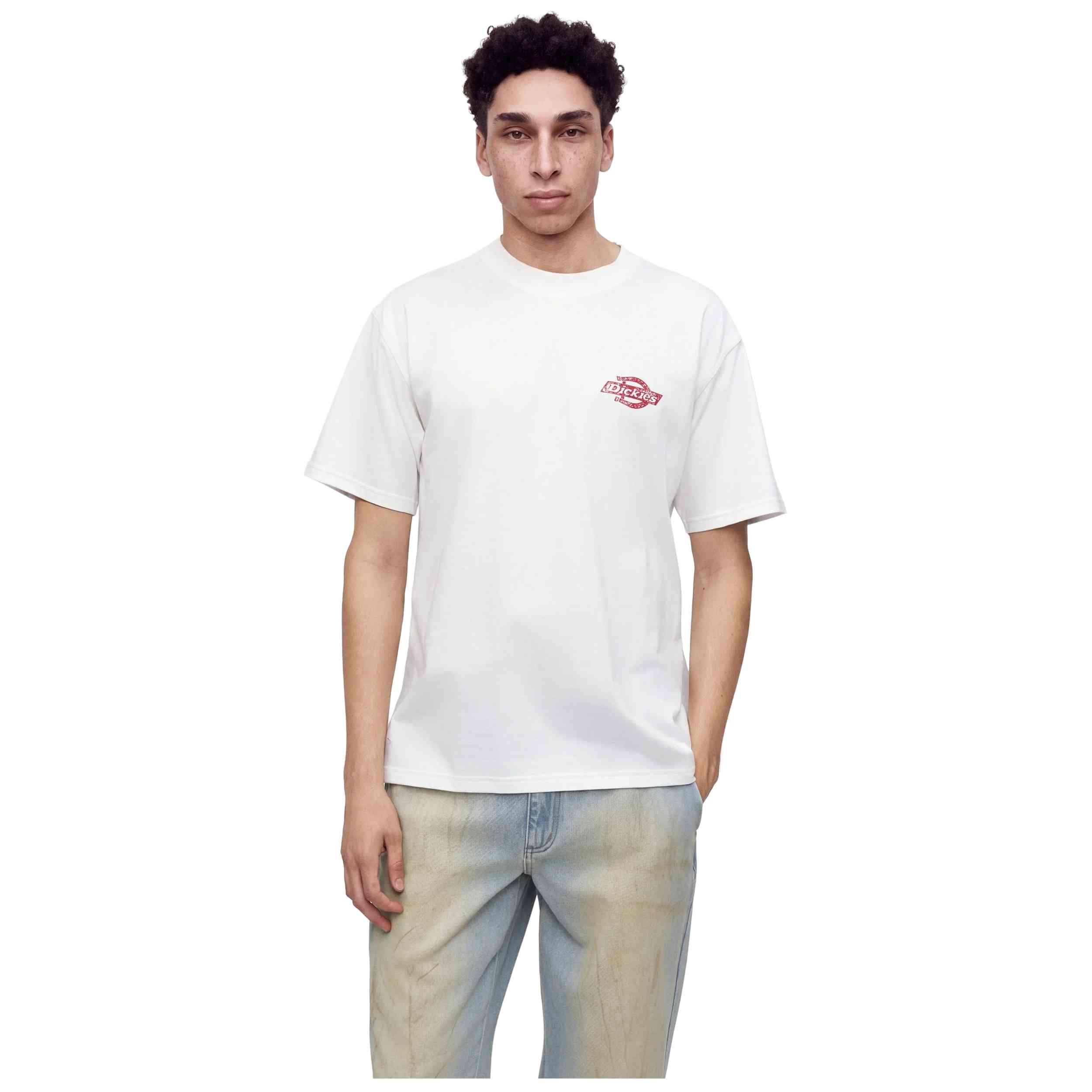 Imagen del producto con referencia DK0A8DTF0WH1