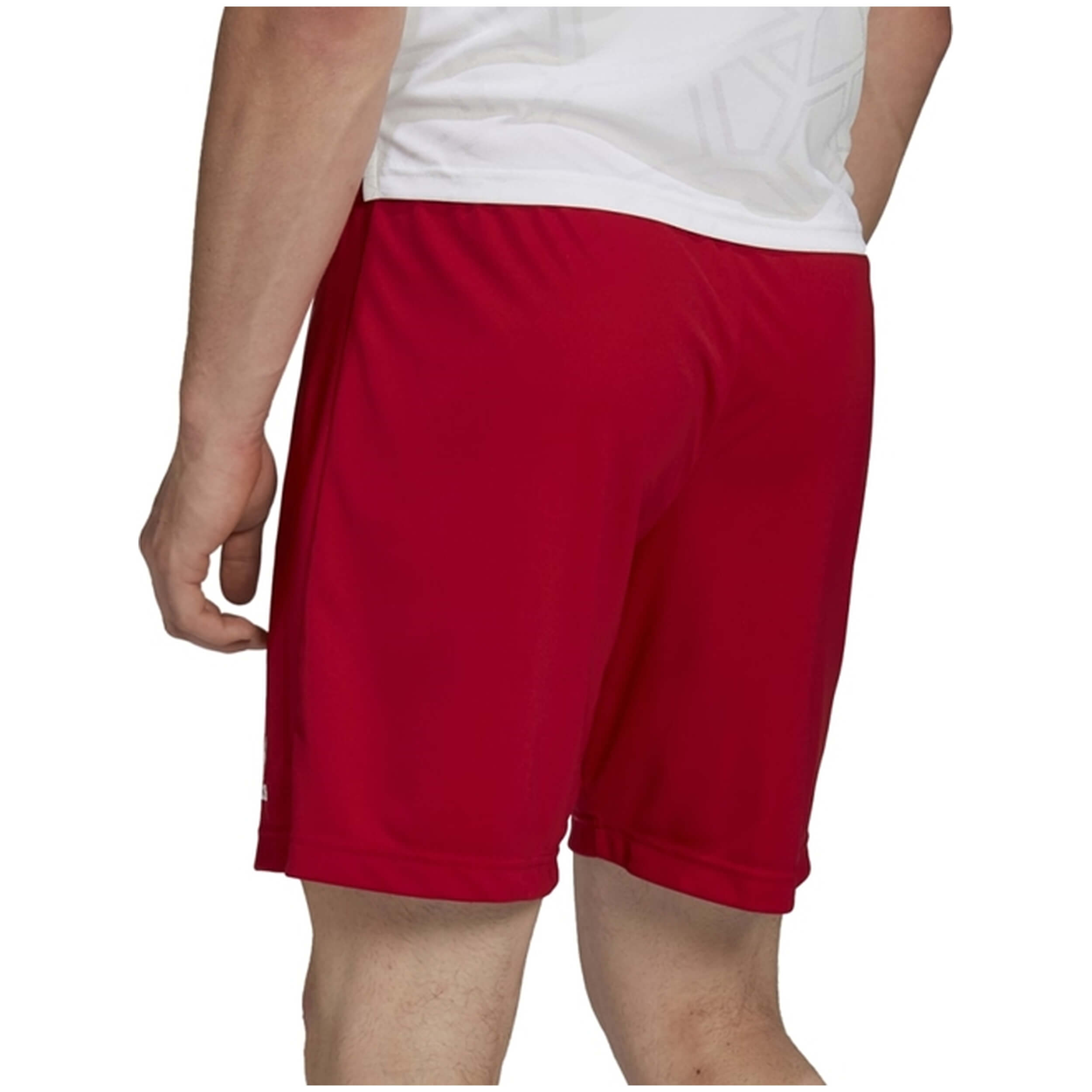 Imagen del producto con referencia H61735