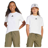 Imagen del producto con referencia JC9774