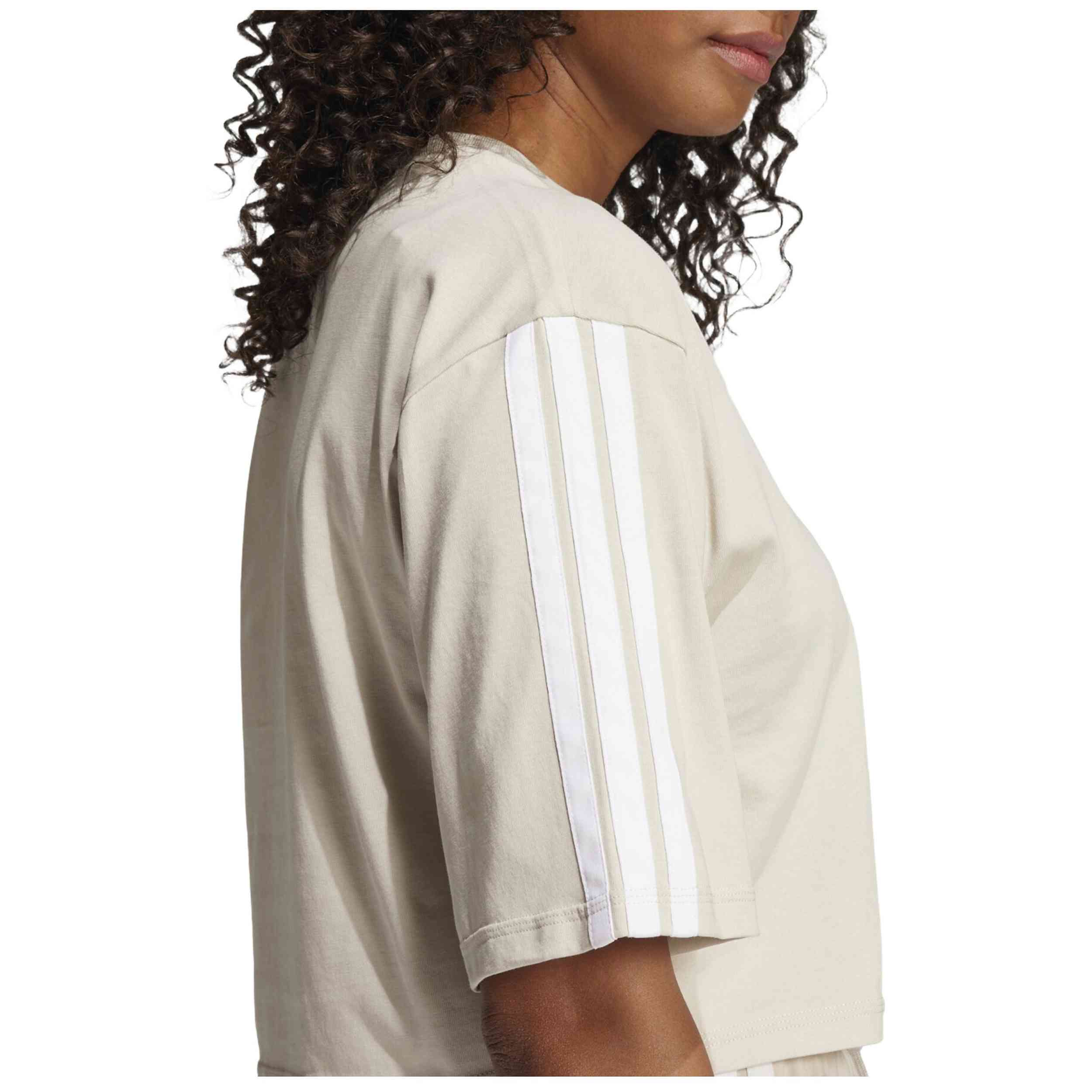 Imagen del producto con referencia JE1204