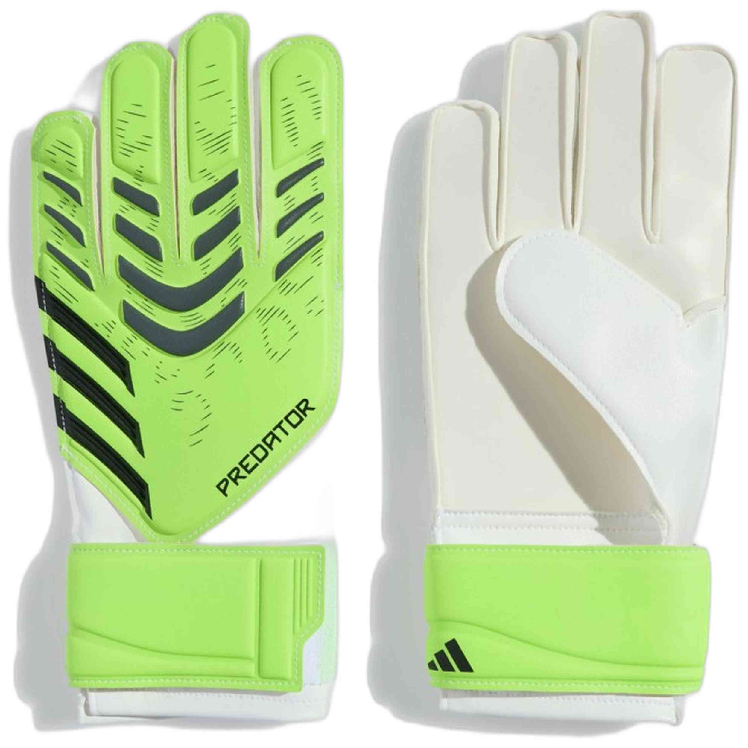 Imagen del producto con referencia JN5362