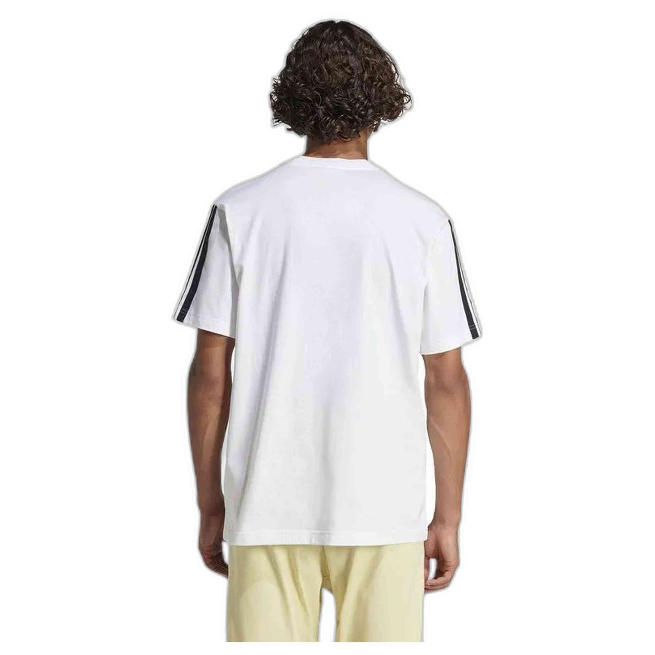 Imagen del producto con referencia JW1952