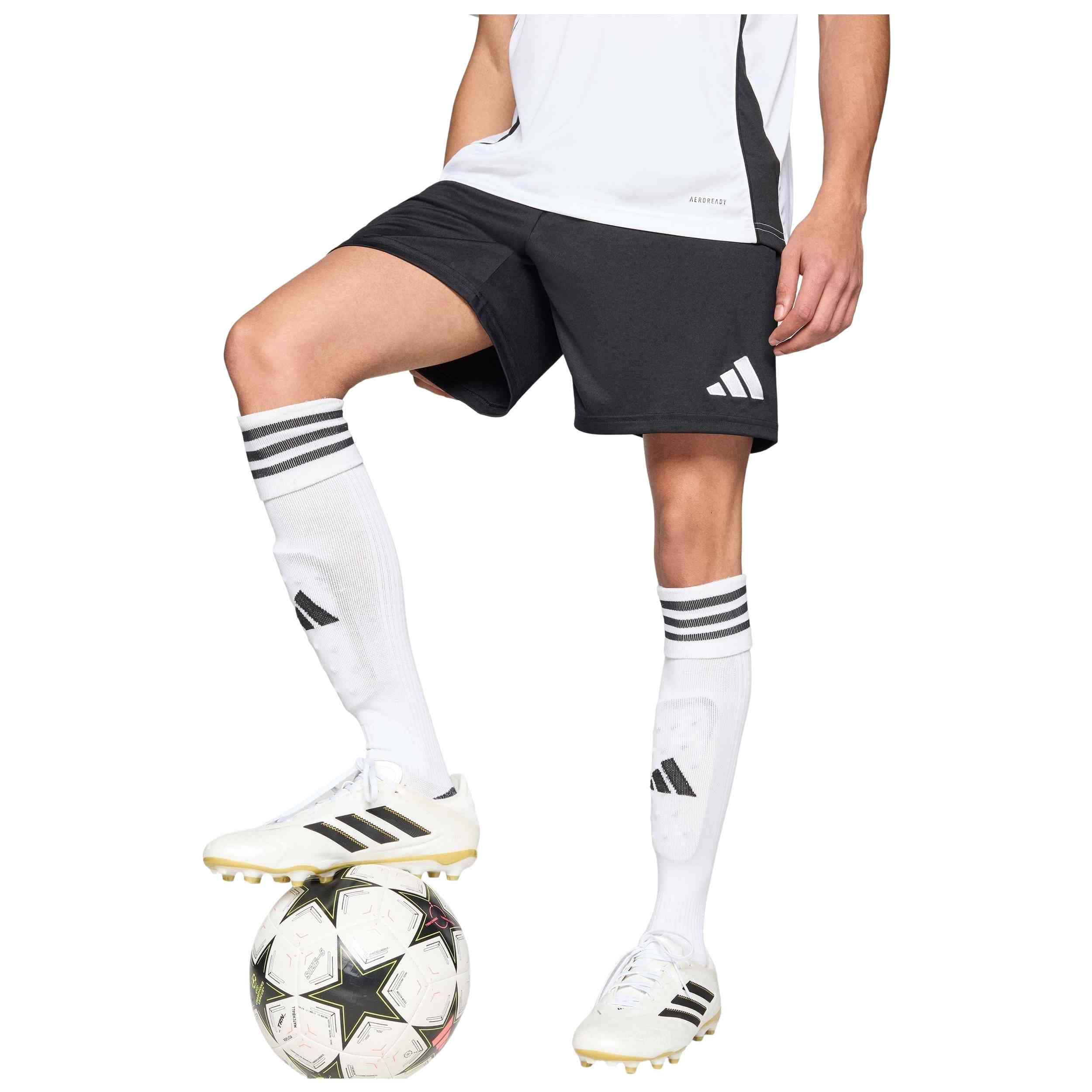 Imagen del producto con referencia JZ2521