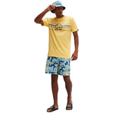 Imagen del producto con referencia SHV20114-940