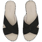 Imagen del producto con referencia TULIP1575-001