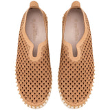 Imagen del producto con referencia TULIP3275-110