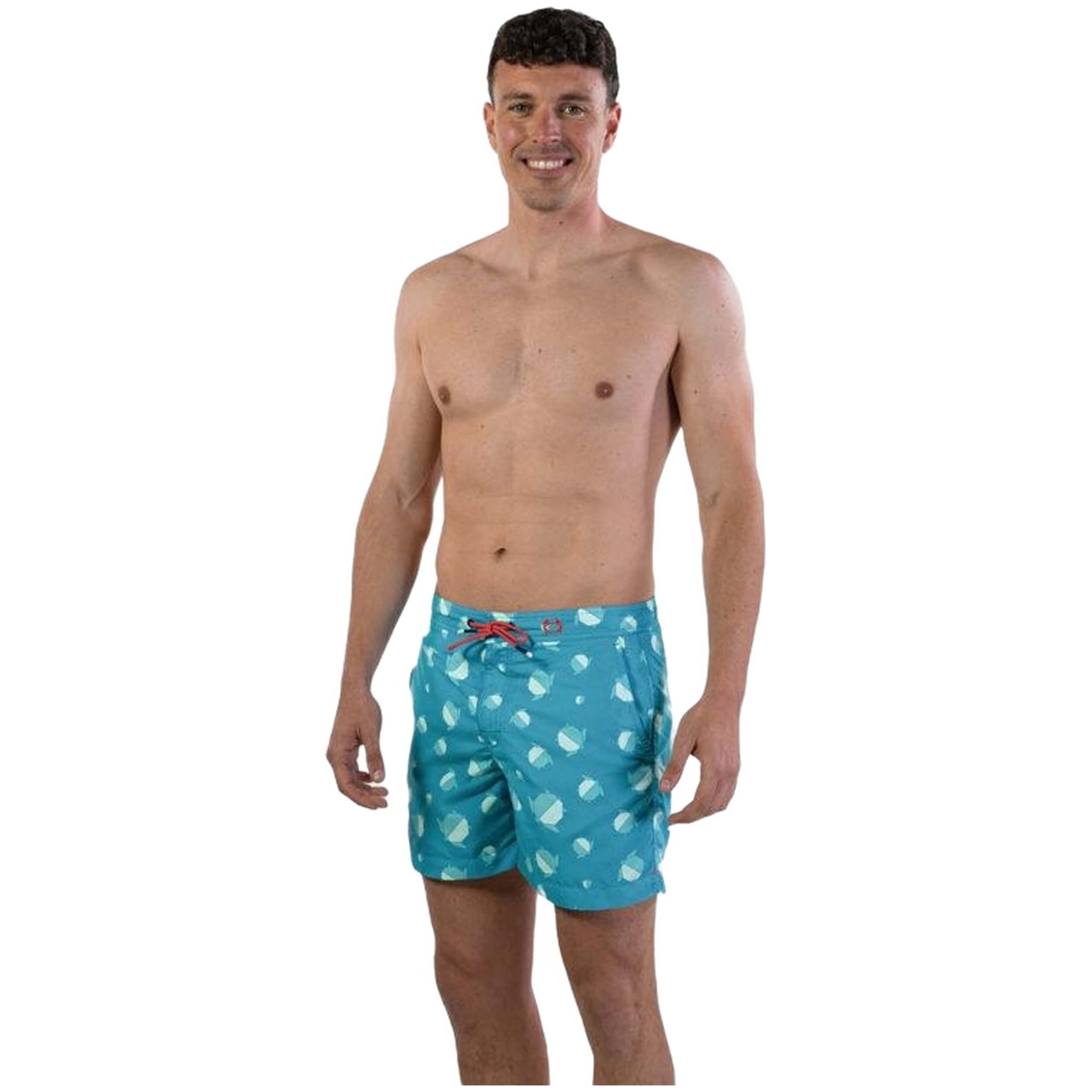 Imagen del producto con referencia TURTTLE